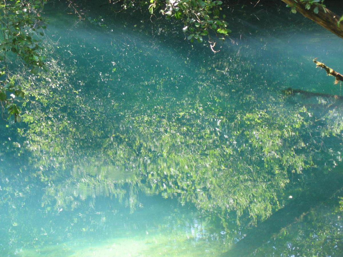 Domaine De Gayfie Villa Salvagnac-Cajarc Bagian luar foto